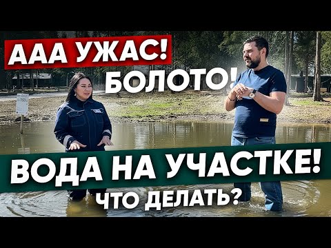 Видео: ВОДА на участке! Что делать? Ответ ландшафтного архитектора 