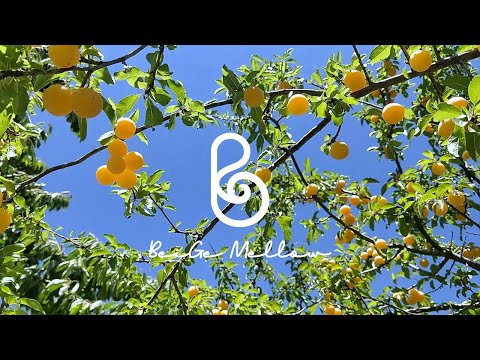 Видео: Доброе утро, Плейлист для фортепиано New Age открывает вашу неделю