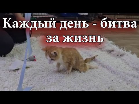 Видео: Есть люди, которым не всё равно