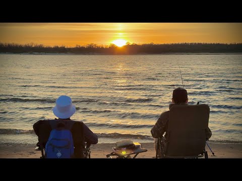 Видео: ЛОВЛЯ КОРОПІВ НА ДИКАРІ