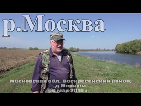 Видео: Рыбалка на Москва-реке в мае 2016г. на поплавок. Бешеный клёв!!!