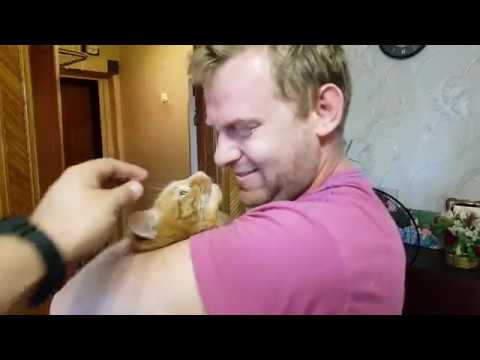 Видео: ЗАШЁЛ В ГОСТИ К САМВЕЛУ И ВЫЧИСЛИЛ КРИСТИНУ