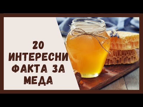 Видео: 20 интересни факта за меда #honey #facts #factsyoudidntknow