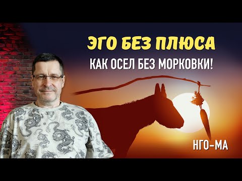 Видео: Эго без плюса, как осел без морковки!