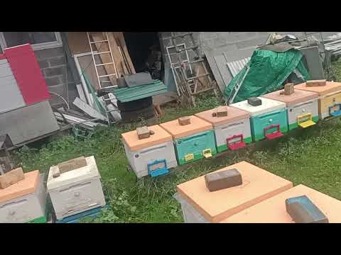 Видео: Приезд и сразу в работу.