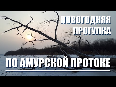 Видео: Новогодняя прогулка по Амурской протоке. 25.12.2023