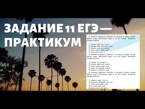 Видео: ЗАДАНИЕ 11 ЕГЭ - ПРАКТИКУМ [IrishU]