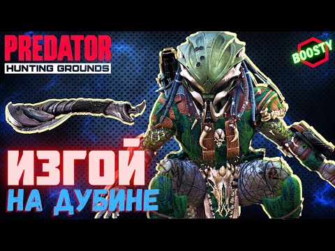 Видео: Predator Hunting Grounds ➤ ИЗГОЙ НА ДУБИНЕ ➤ boosty ОХОТА #4 #predator