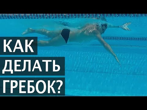 Видео: КАК ДЕЛАТЬ ГРЕБОК В КРОЛЕ (100% РЕЗУЛЬТАТ)