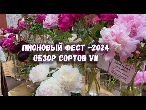 Видео: Пионовый фест -2024. Обзор сортов пионов 7