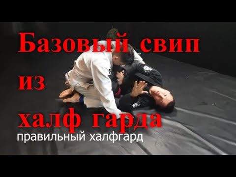 Видео: Основы бжж: халфгард - самый простой свип