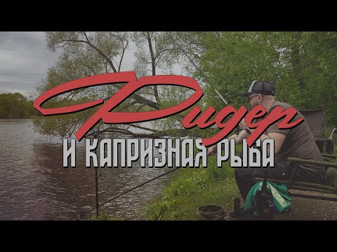 Видео: Фидер и капризная рыба. Рыбалка на реке в конце мая