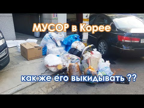 Видео: Как выкидывать/сортировать мусор в Южной Корее || Coffee Korea