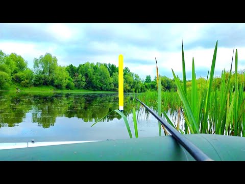 Видео: ШОК!!! СТОЛЬКО ЛИНЯ ЕЩЕ НЕ ЛОВИЛ!!! Рыбалка на поплавок!
