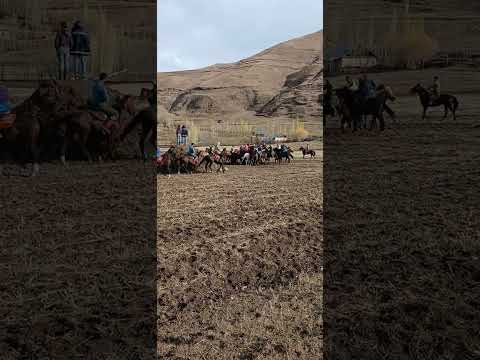 Видео: бузкаши дар сағирдашт