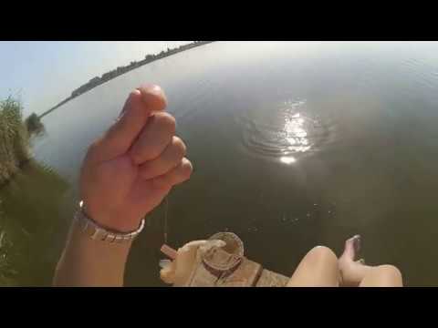 Видео: Аляуды.  Рыбалка на маховую удочку в июне.