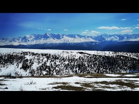 Видео: Акташский ретранслятор. Не смогли подняться даже на экспедиционных камазах.