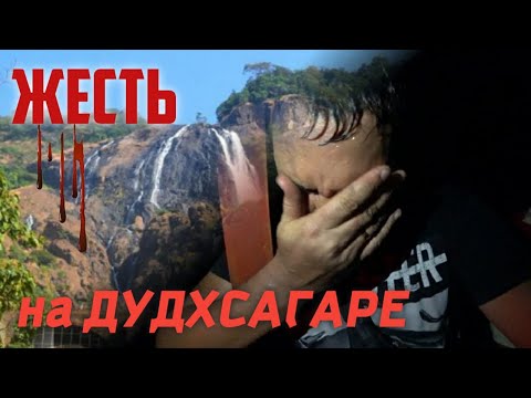 Видео: ГОА. Водопад Дудхсагар. Чуть не пропали в джунглях.