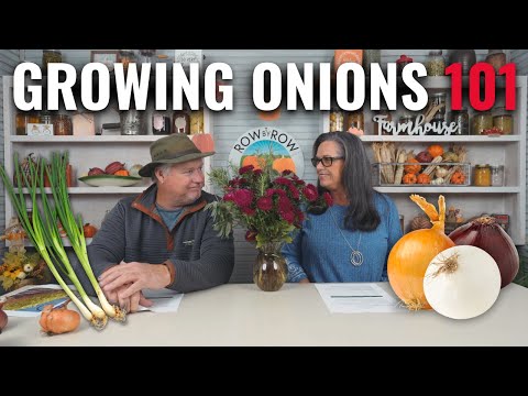 Видео: Выращивайте идеальный лук каждый раз!