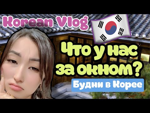 Видео: Korean Vlog: минусы жизни в частном доме🏠 что у нас за окном 🪟 шокирующе кадры 🤯