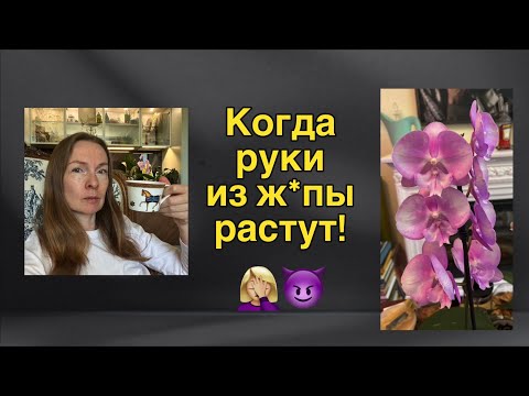 Видео: Пересадка орхидеи для новичка! Просто и без нервов! 😄🌸🔥