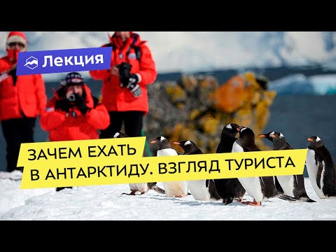 Видео: Зачем ехать в Антарктиду. Взгляд туриста
