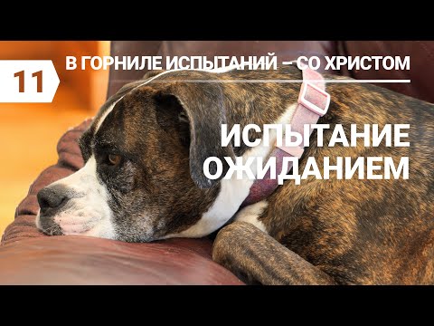 Видео: Субботняя школа в Верхней горнице: Испытание ожиданием #субботняяшкола