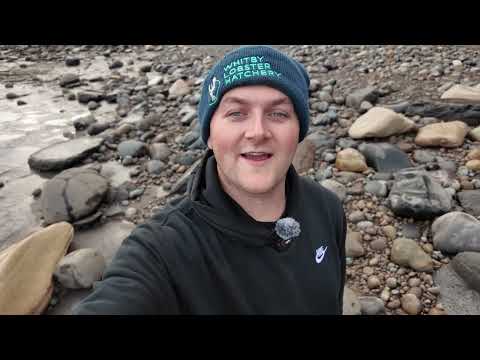 Видео: Двухдневный поиск юрских ископаемых на побережье Йоркшира