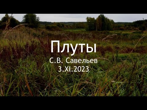 Видео: С.В. Савельев - Плуты