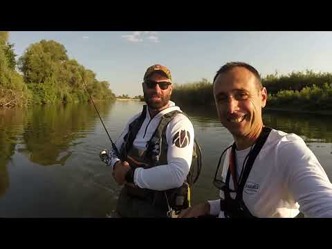 Видео: За кефали на Струма - Втора част. Кормораните ни развалиха риболова