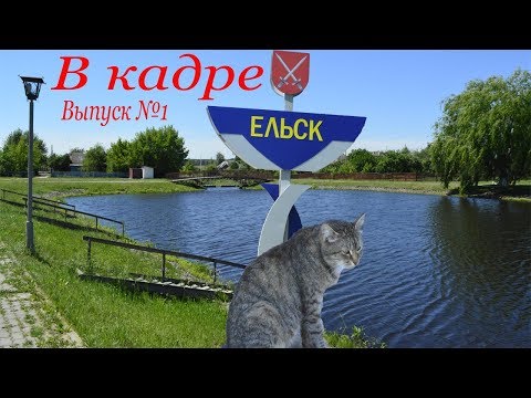 Видео: В кадре: Ельск. Выпуск №1
