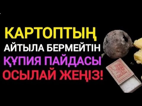 Видео: "Картоптың-құпиясы: пайдасы мен зияны"