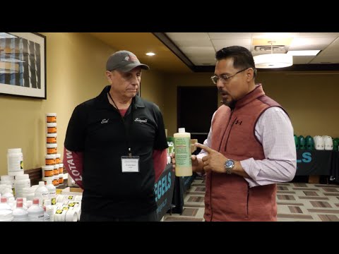 Видео: Советы по здоровью голубей от Эда Минвилля