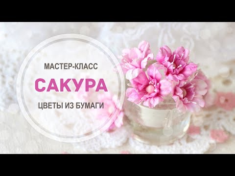Видео: МК "Сакура" с помощью ножей AgiArt