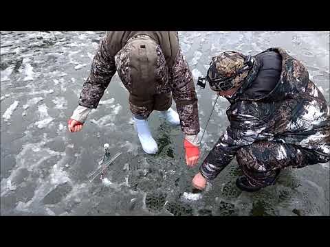 Видео: Отличное открытие льда на Нижнем пруду. Клёвое место, Лосиный остров.