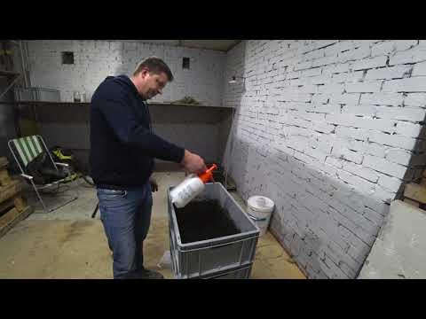 Видео: Заселение коконов дендробены.