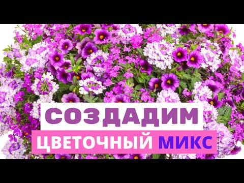 Видео: ЦВЕТОЧНЫЕ КОМПОЗИЦИИ  в саду. Сочетание цвета и формы