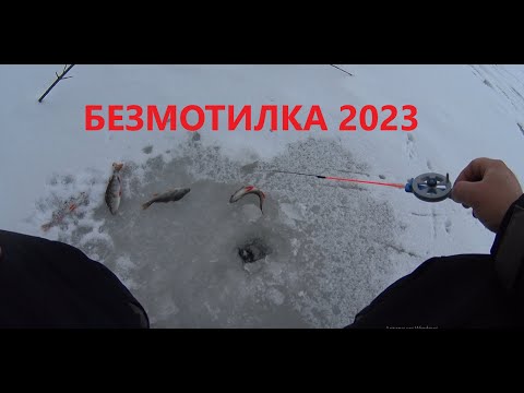 Видео: Безмотилка на деснянських старицях! В прилові щука і червонопірка!