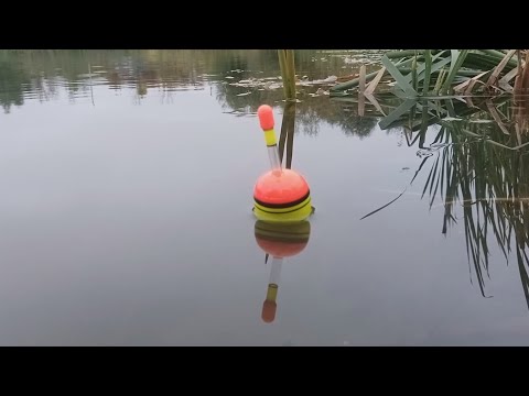 Видео: ЩУКА НА ЖИВЦА. ЛОВЛЯ ЩУКИ НА ПОПЛАВОК ОСЕНЬЮ.