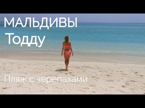 Видео: Мальдивы | Тодду | Пляж с черепахами | Еда | Переезд на остров Расду