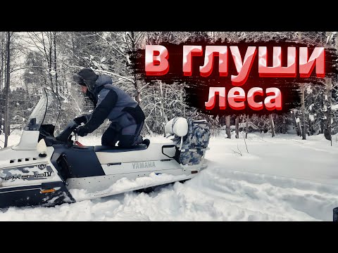 Видео: ПРОБИВАЮСЬ НА ЩУЧЬЮ ЯМУ ЧЕРЕЗ ЗИМНИЙ ЛЕС В ПОИСКАХ ХИЩНИКА.