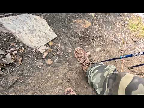 Видео: 28.10.Вниз по Лисьей тропе, вверх по 800 ступеням.Анапа. 👍💪