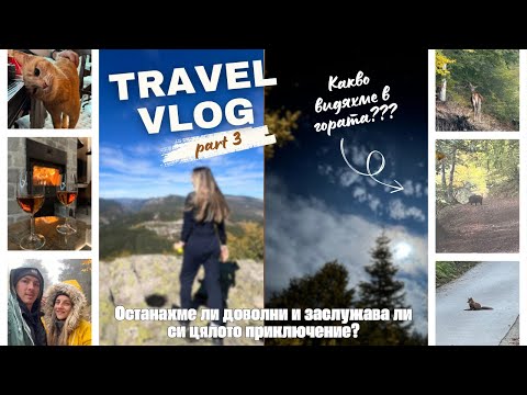 Видео: В гората видяхме... I Част 3