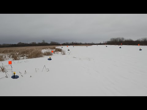 Видео: Лесная тропа завела нас в залив.. Кишащим щук! Мы в ШОКЕ от этого места!