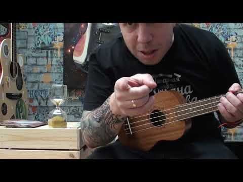 Видео: Занятие 0 - посадка и постановка рук на Укулеле