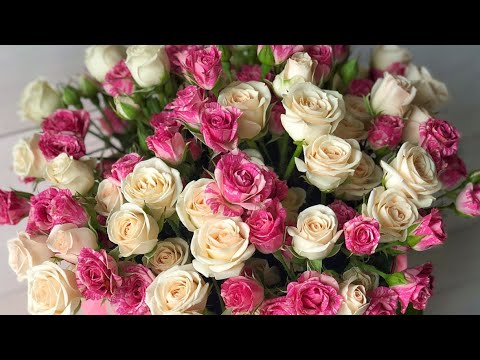 Видео: Его мысли 💭 чувства ❤️намерения 🔑🌀