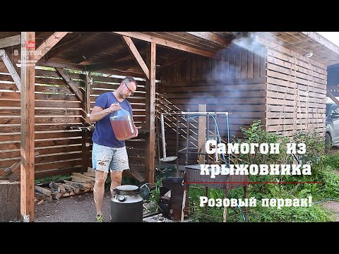 Видео: Самогон из крыжовника. Розовый первак!