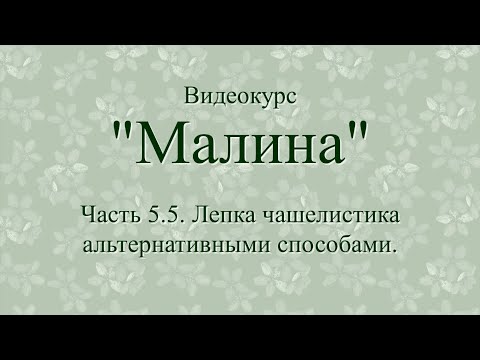 Видео: Часть 5.5. Малина. Лепка чашелистиков альтернативными способами.