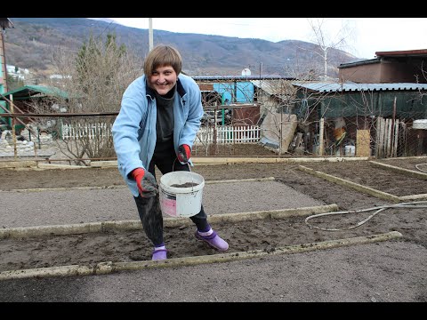 Видео: Выращивание Ялтинского лука из семян. Посев чернушки. Сезон 2020