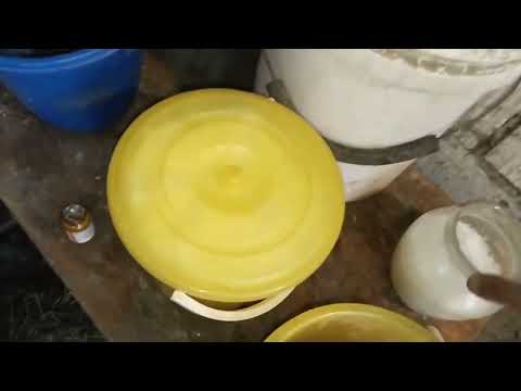 Видео: Мои козы и травим мух.